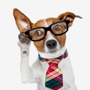 Meet your Posher, Christion